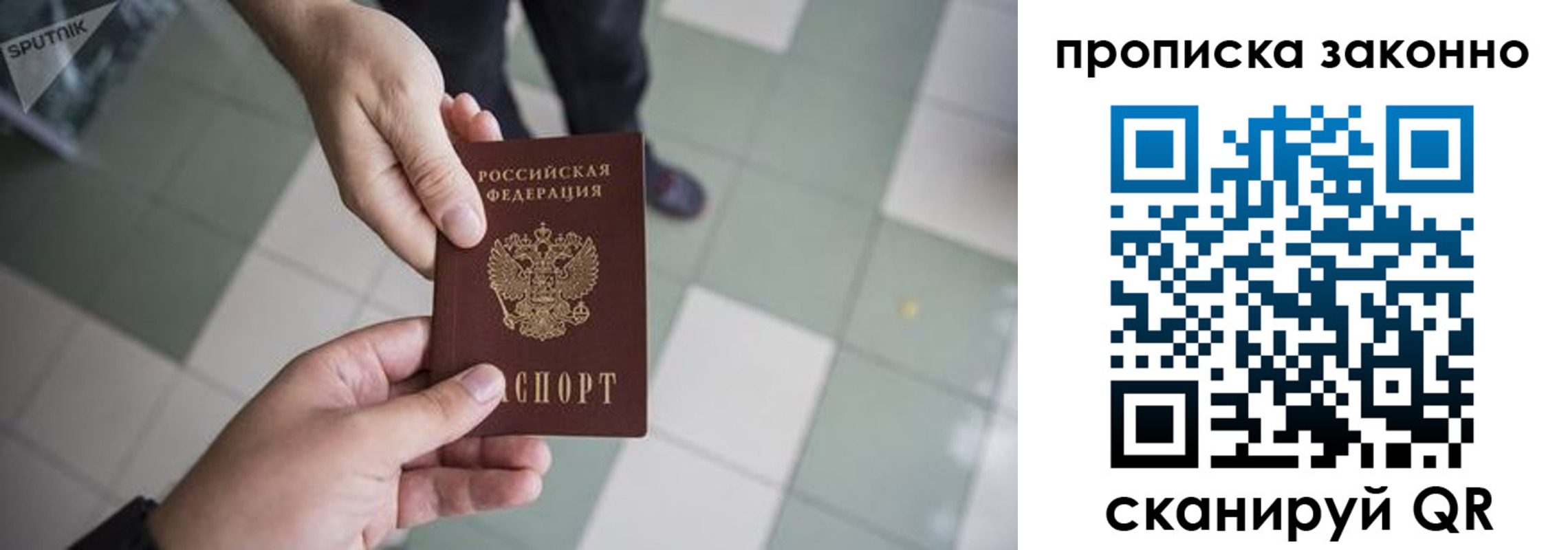 временная регистрация для школы в Елизово